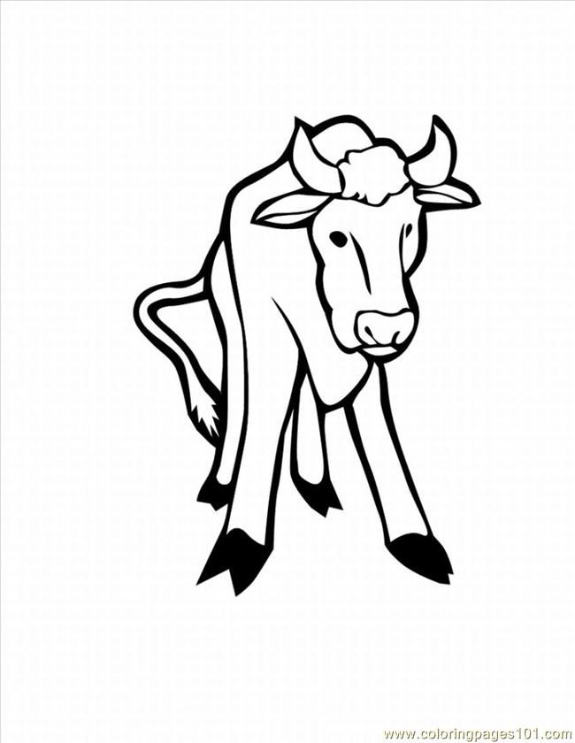 Angus Cattle Coloring Page