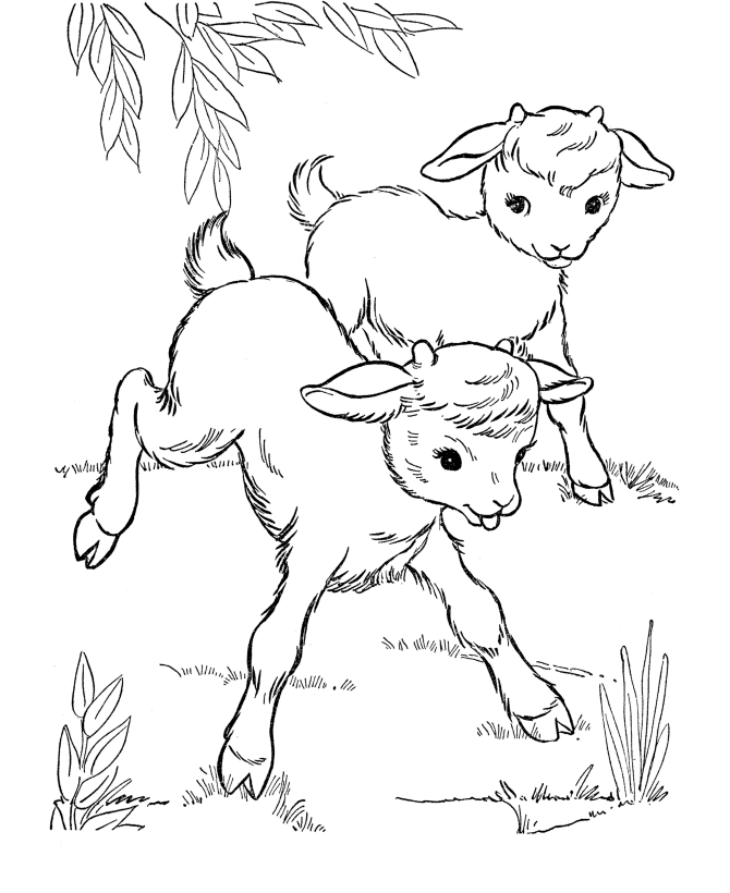 Baby Animal Coloring Pages | Free coloring pages