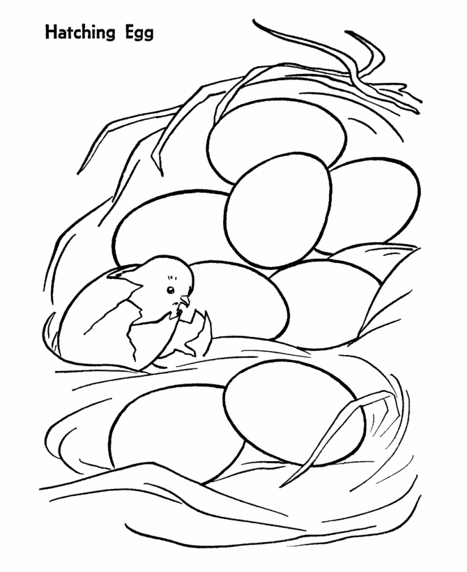 printable coloring page easter cartoons others