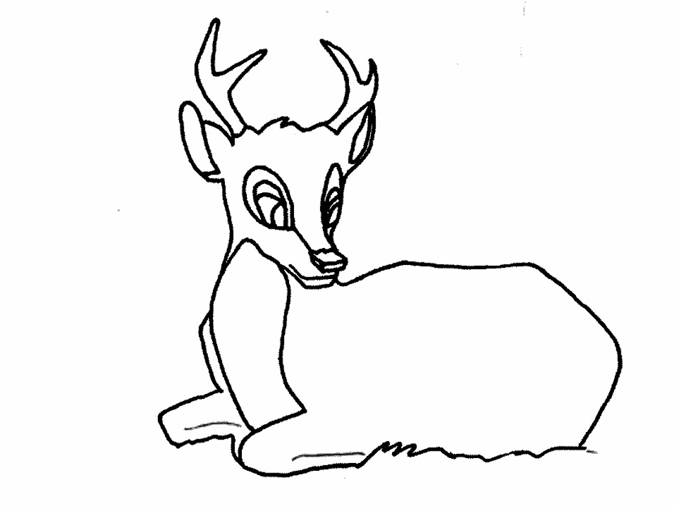 Coloring Pages Deer Coloring Pages