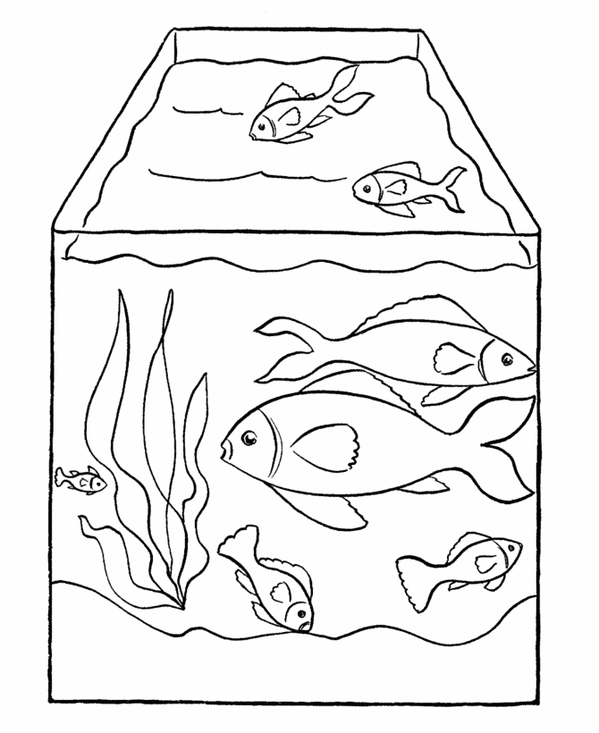 FISH TANK Colouring Pages