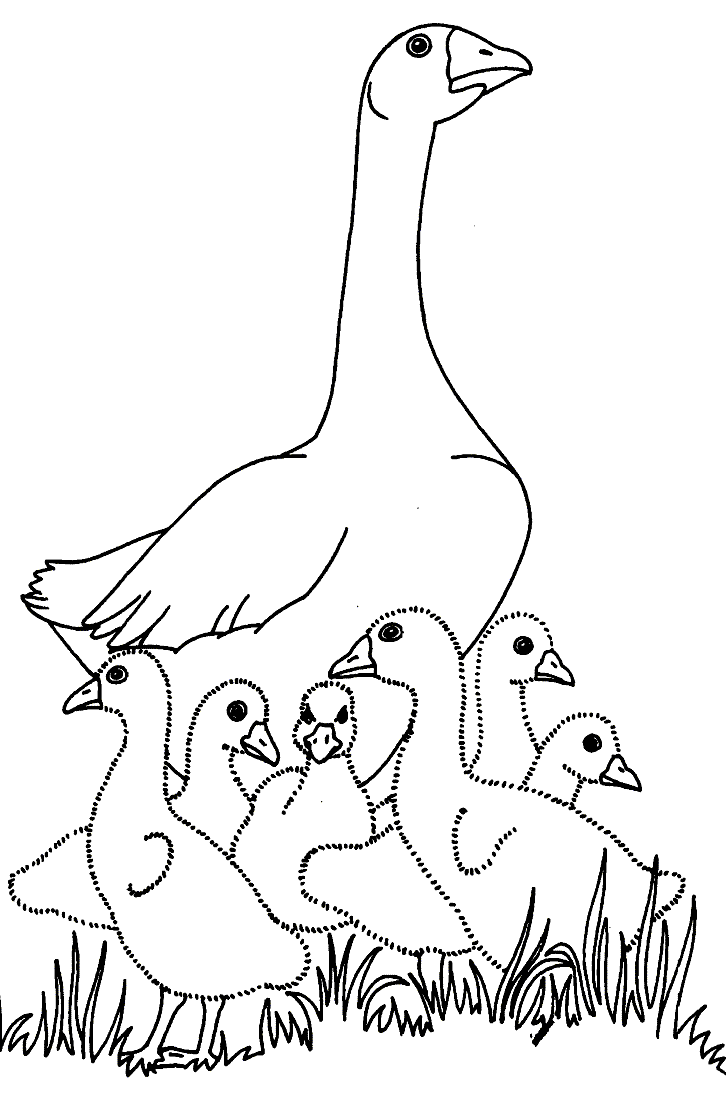 Free Baby Goose Coloring Page, Download Free Clip Art, Free Clip Art on  Clipart Library