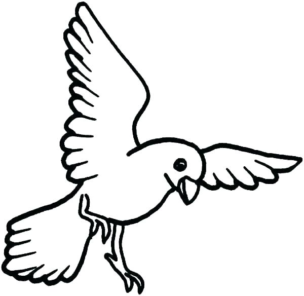 Birds Coloring Pages Picture - Whitesbelfast