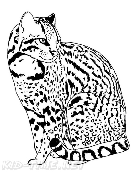 Ocelot Coloring Book Pages Coloring Book Page | Free Coloring Book Pages  Printables