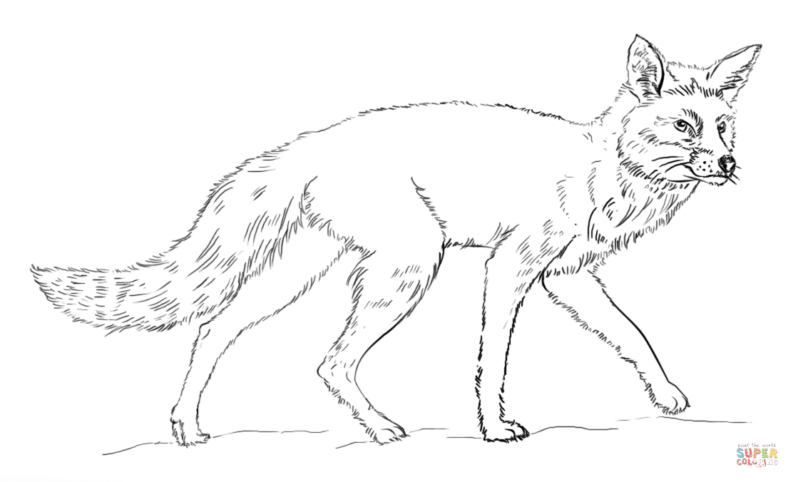 Realistic Red Fox coloring page | Free Printable Coloring Pages