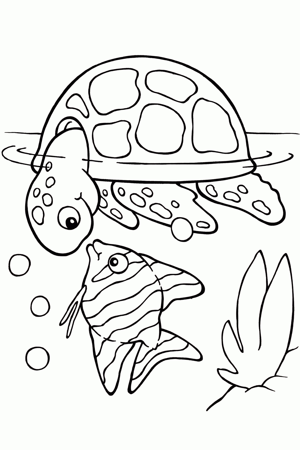 Turtles - Coloring Pages for Kids and for Adults