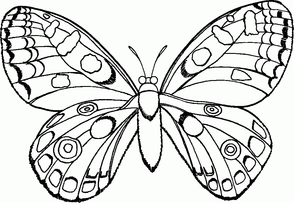 Insects Coloring - Android Apps and Tests - AndroidPIT