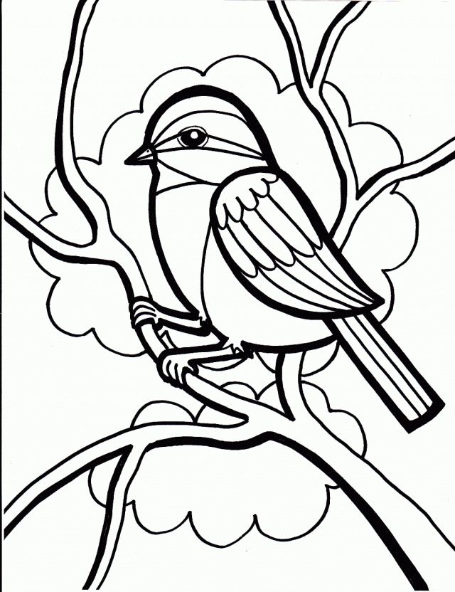 Sparrows And Computer Coloring Page 231876 Name Coloring Pages