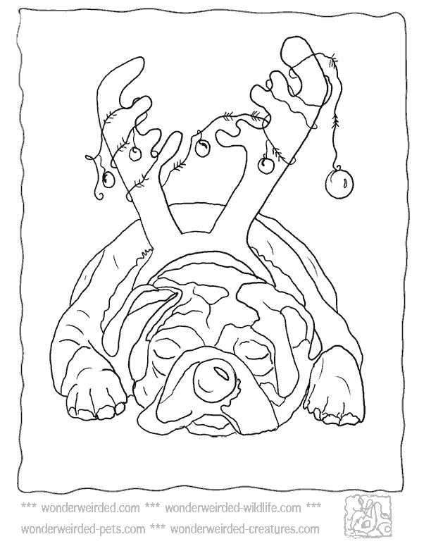 print halloween coloring pages vampire