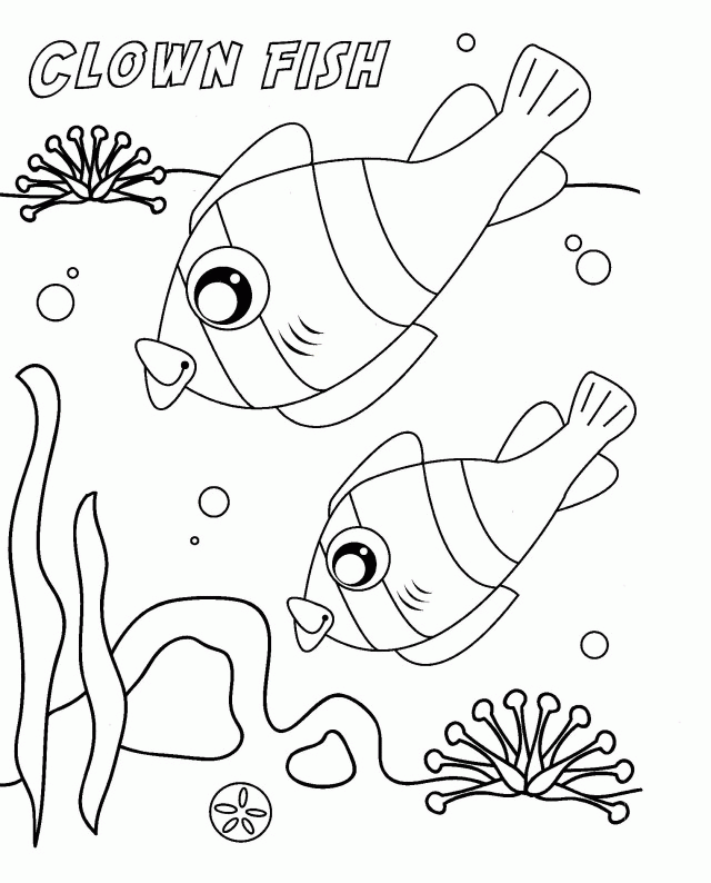 Humpback Whale Coloring Pages Coloring Book Area Best Source For