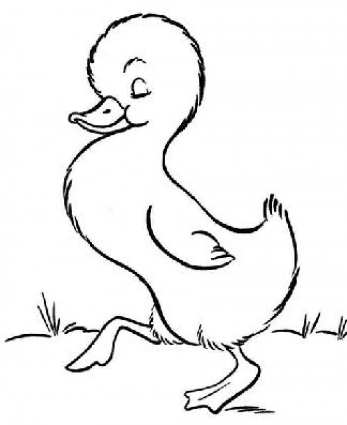 Webkinz Duck Coloring Pages | 99coloring.com