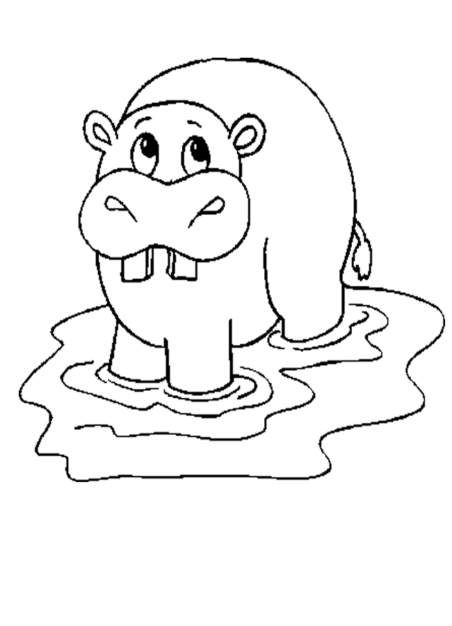 Hippo Coloring Pages | Find the Latest News on Hippo Coloring