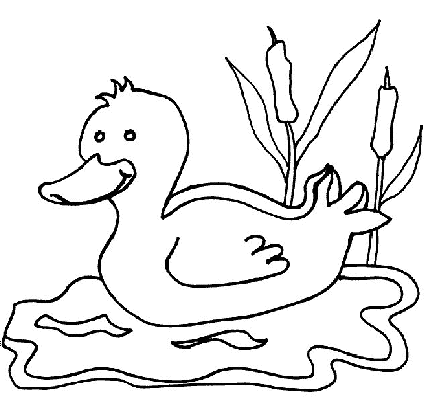 Ducks Coloring Pages 4 | Free Printable Coloring Pages