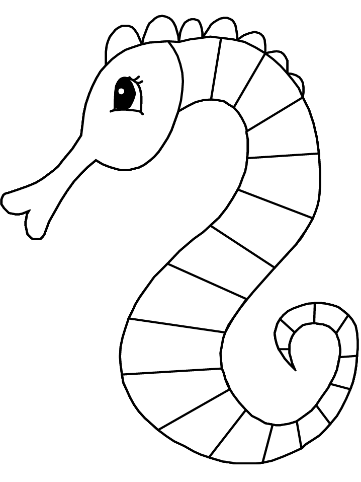 Simple Seahorse Coloring Page Images & Pictures - Becuo
