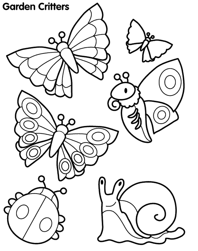 butterfly coloring pages | Coloring Pages