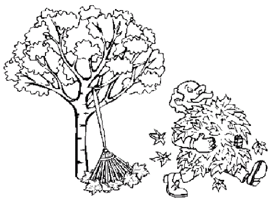 Autumn Leaves Collection Coloring Pages | Coloring