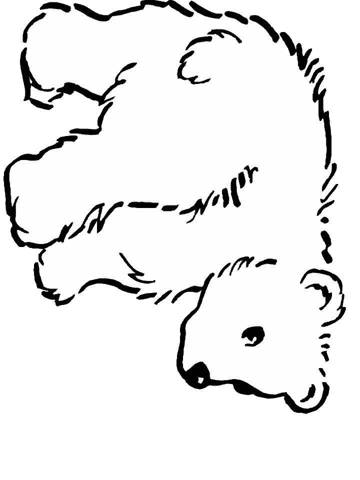 Printable Bears 17 Animals Coloring Pages 