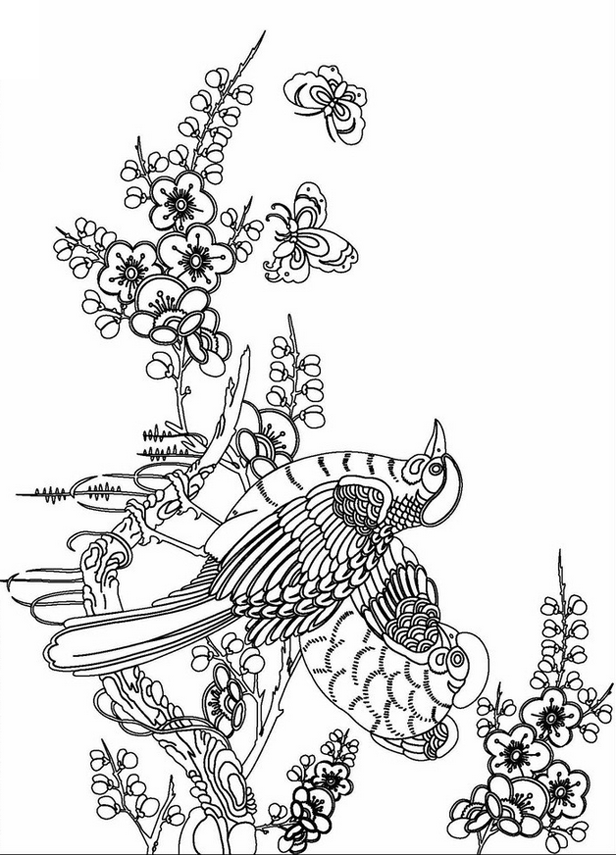 Adult Coloring Page | Coloring Pages