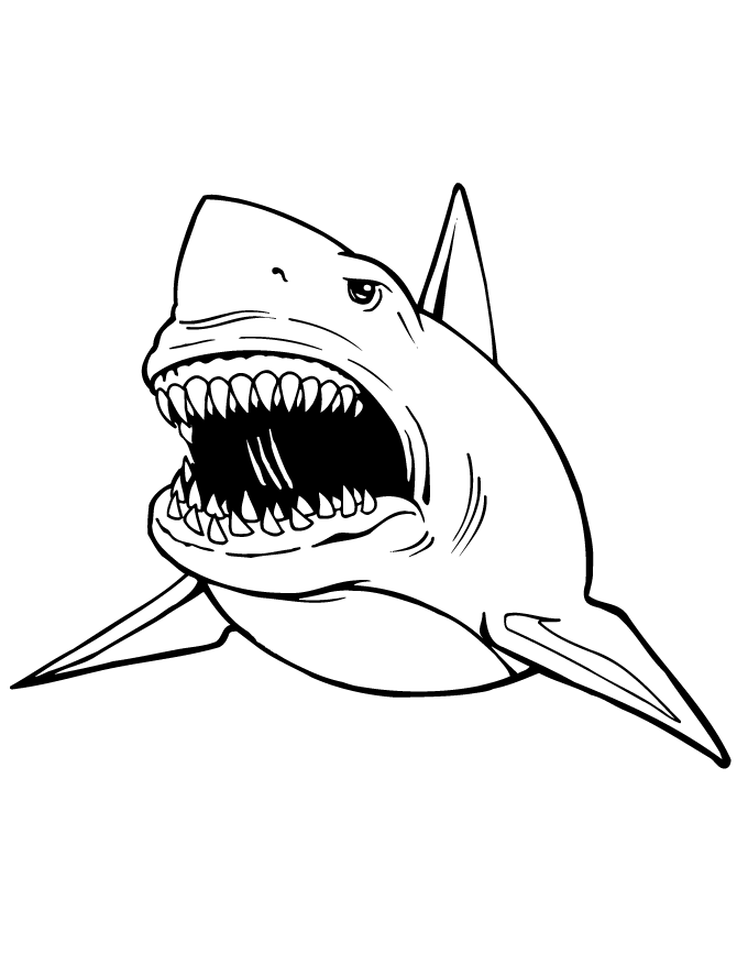 Great White Shark Coloring Pages great white shark coloring pages