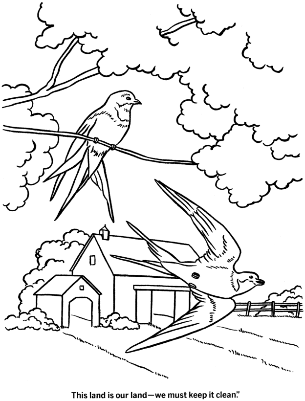 Spring Coloring Pages - Kids Spring Wild Birds Coloring Page