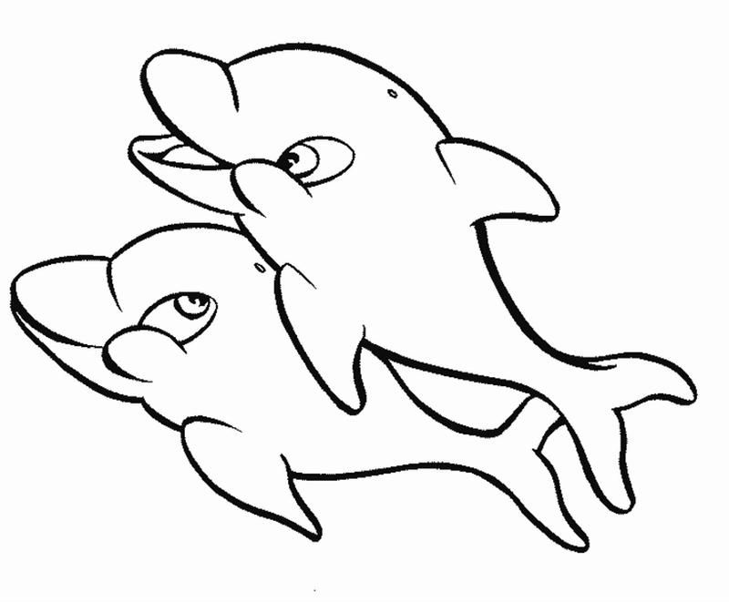 Baby Dolphin Coloring Pages | Clipart Panda - Free Clipart Images