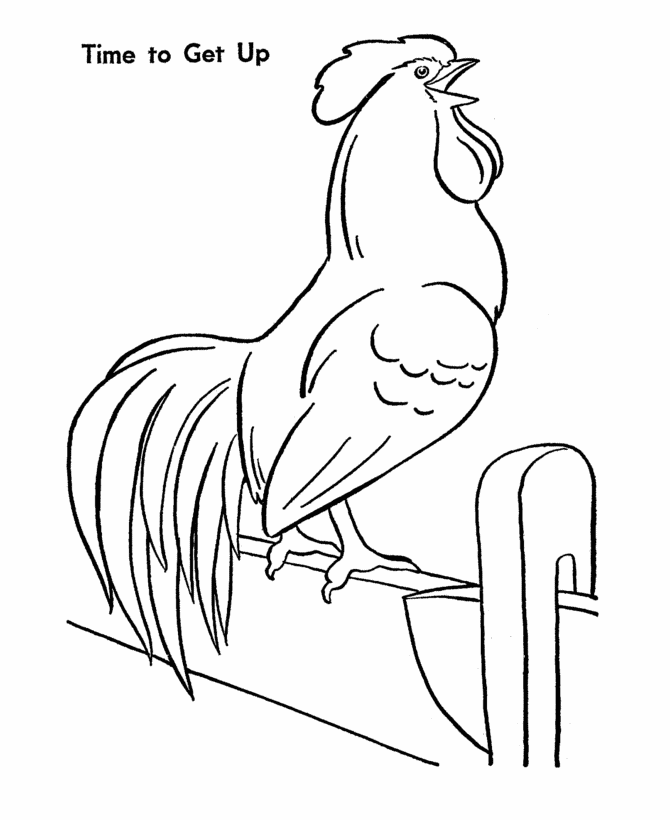 Farm Animal Coloring Pages | Printable Chicken Farm Rooster