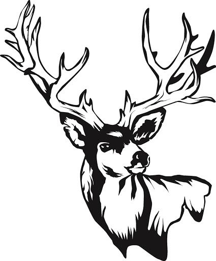 Drawings Of Deer Skulls - Cliparts.co