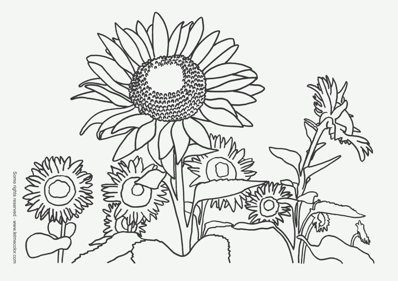 Printable Nature Coloring Pages For Kids Coloring Page For Kids ...