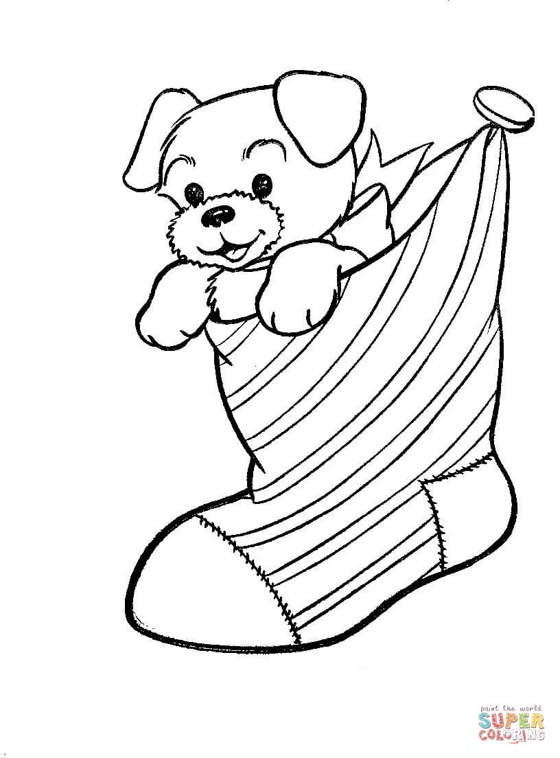 A Puppy Dog In A Christmas Stocking coloring page | Free Printable ...