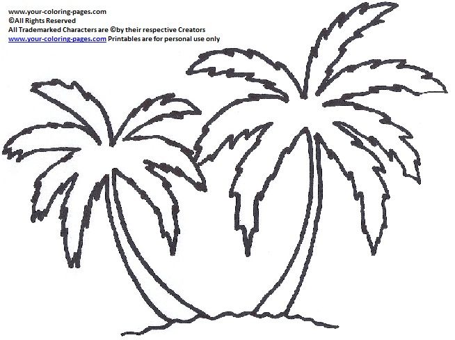 your-coloring-pages.com | Tree coloring page, Palm tree drawing, Palm tree  crafts