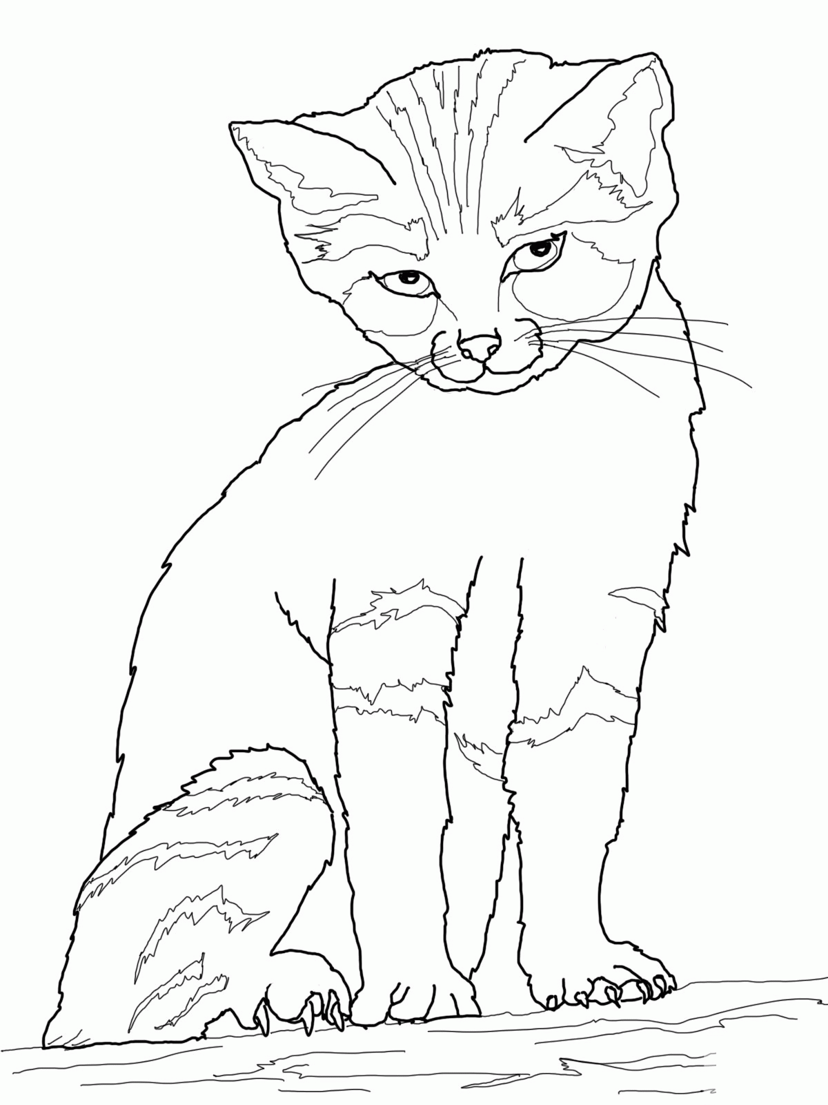 Male Cat Coloring Pages For Kid | Coloring.Cosplaypic.com
