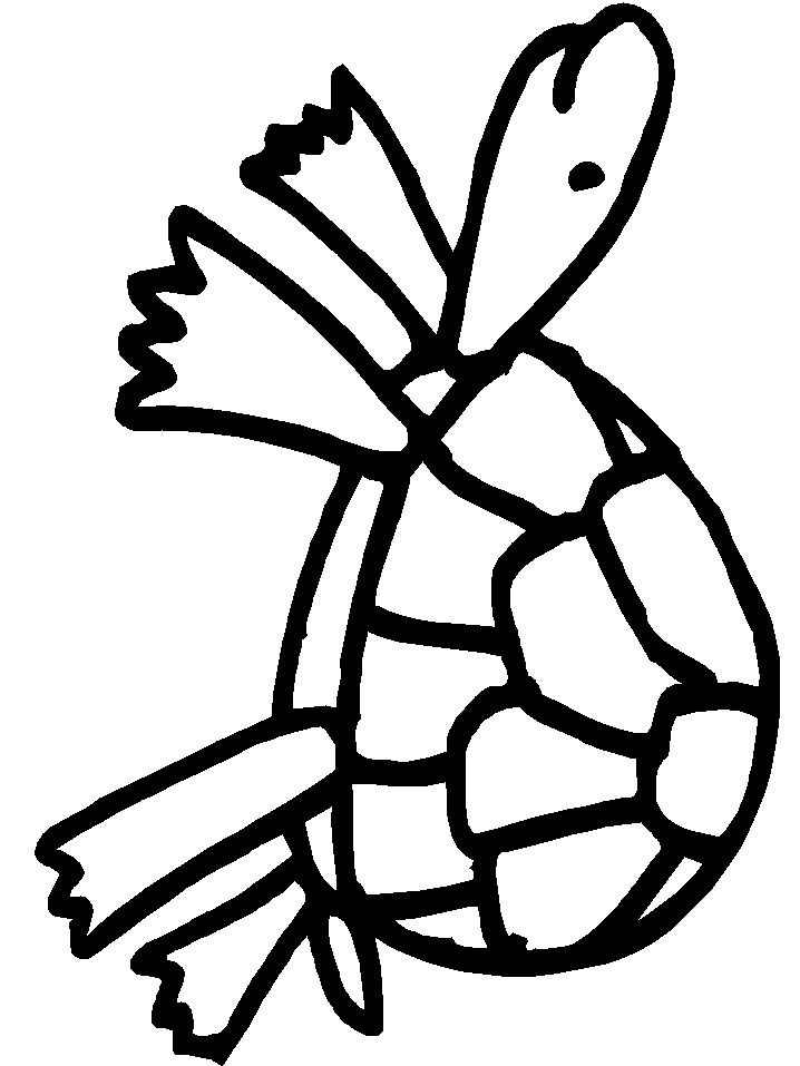 Turtles K4 Animals Coloring Pages & Coloring Book