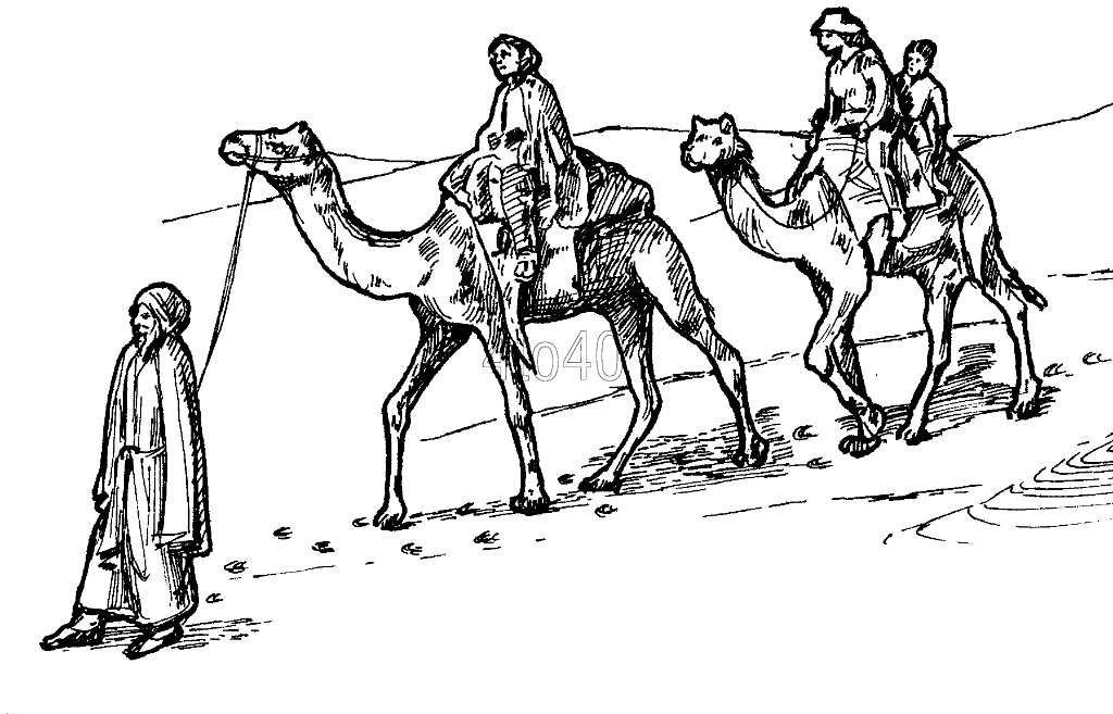Camel Coloring Pages - Bestofcoloring.com