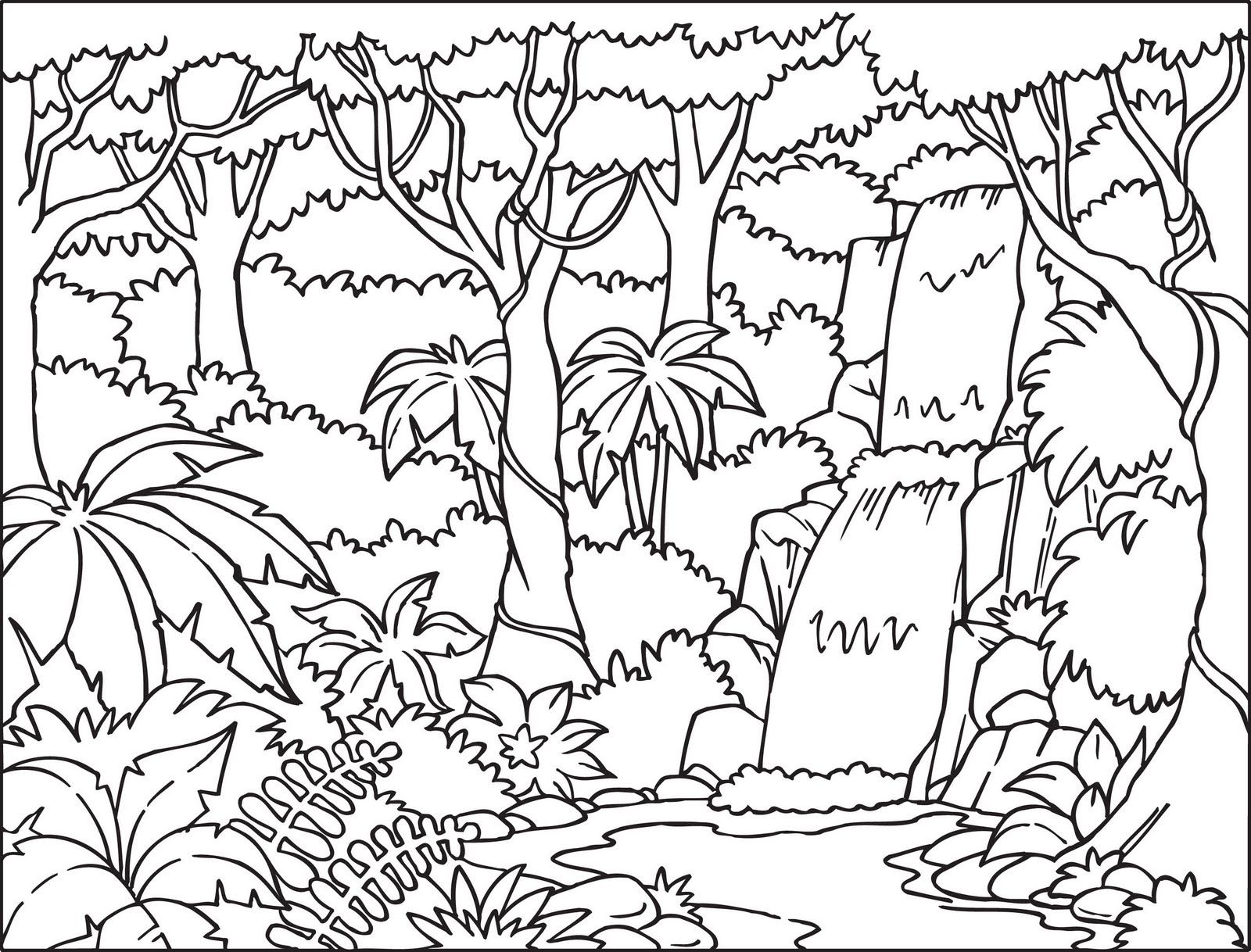 Layers Of Rainforest Coloring Page - Coloring Pages