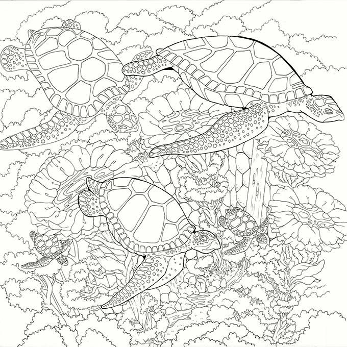 Underwater coloring pages adult