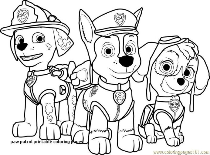 Coloring Paw Patrol Free From Printable Christmas Math Grid Graph Maker  Simple Algebra Paw Patrol Printable Coloring Pages Coloring Pages partial  quotient division worksheets 4th grade maple symbolic math subtraction  problems for