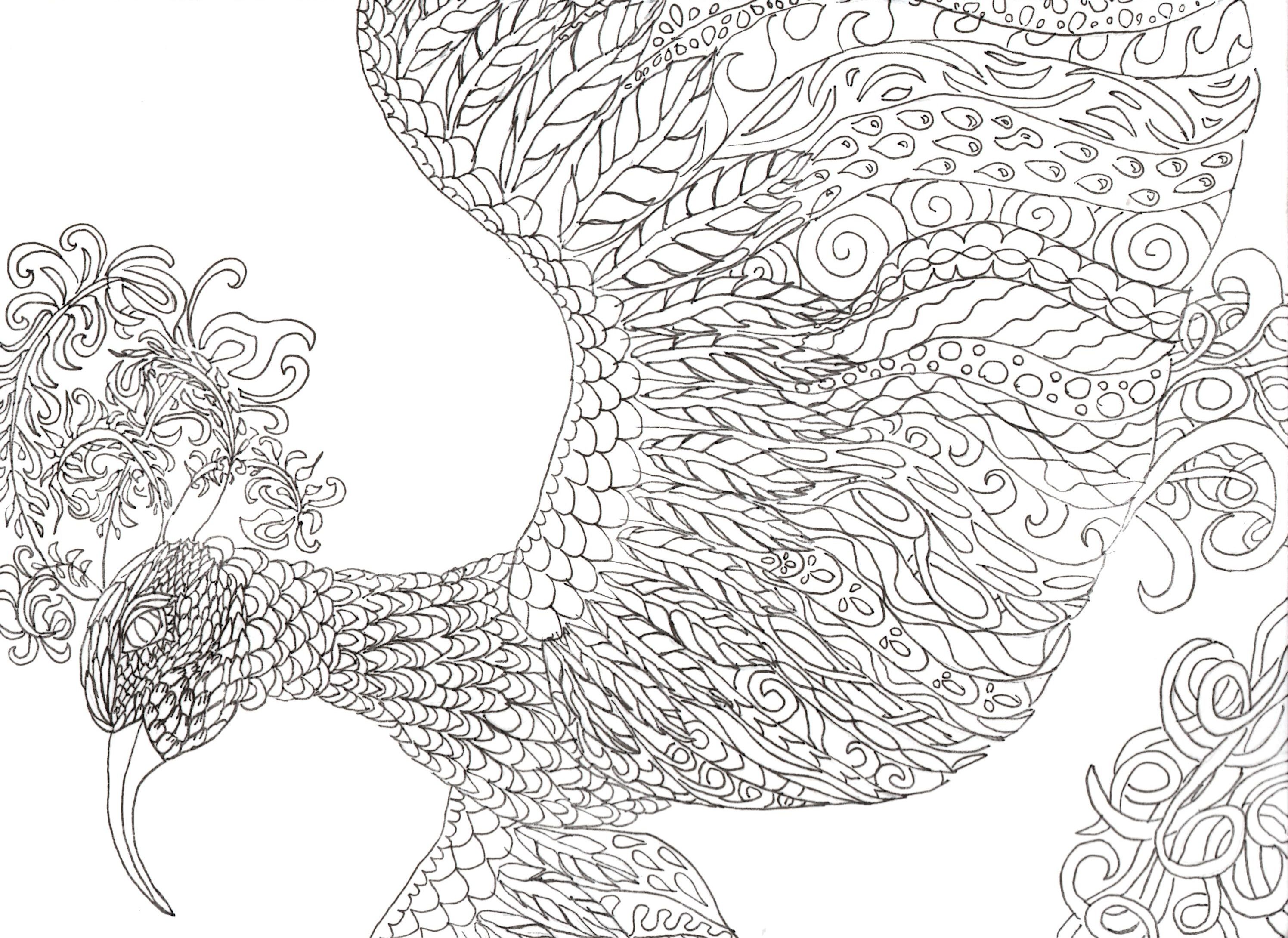 FREE! Adult Coloring Book Page – Fantasy Bird | Jeanine A Thriver