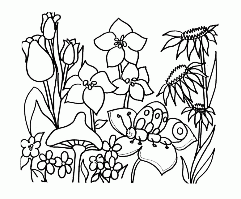 Garden Coloring Pages For Preschool - High Quality Coloring Pages