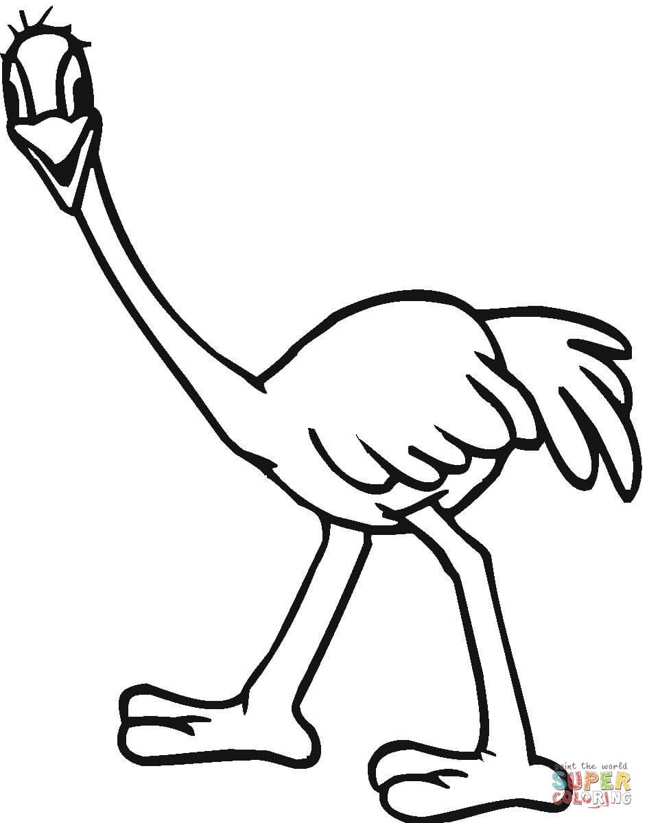 Ostrich Emu coloring page | Free Printable Coloring Pages