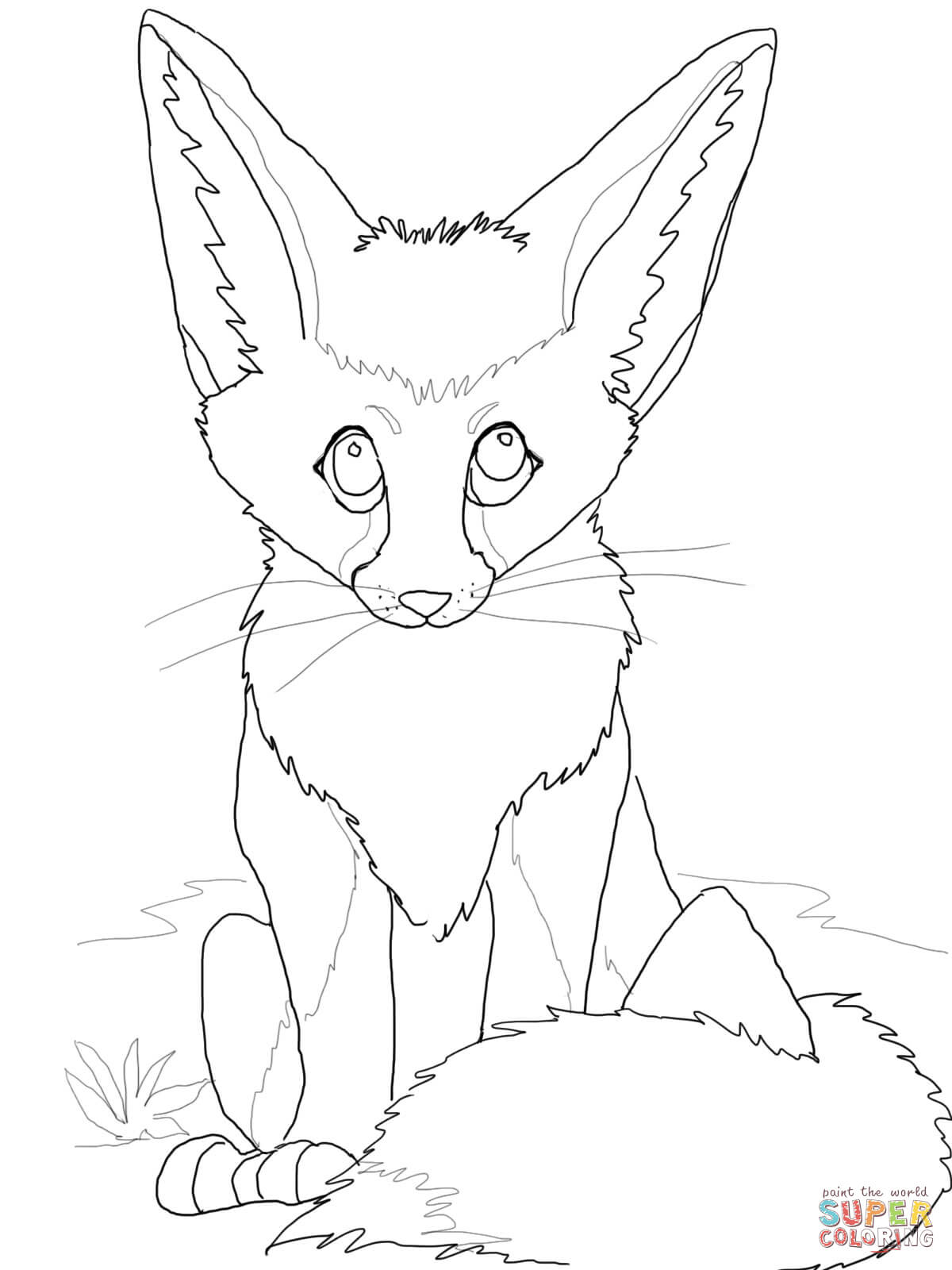 Fennec fox coloring pages | Free Coloring Pages