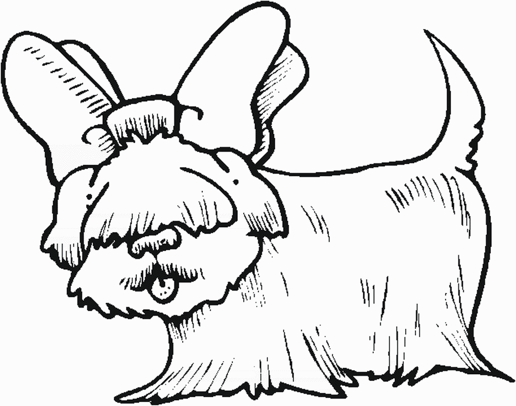 mini-fluffy-dog-542325 Â« Coloring Pages for Free 2015