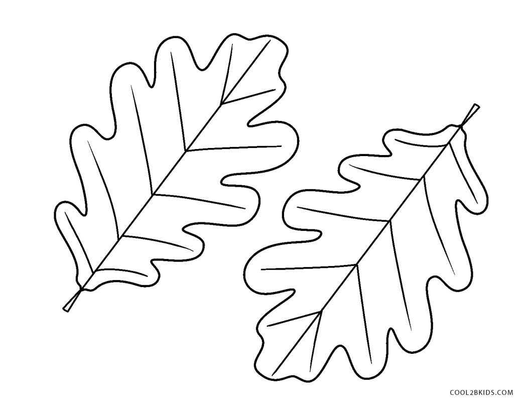 coloring pages : Coloring Pages Leaf Sheet Palm Canadian Maple Halloween  Pumpkinall Middle School Large Leaf Coloring Sheet ~ mommaonamissioninc