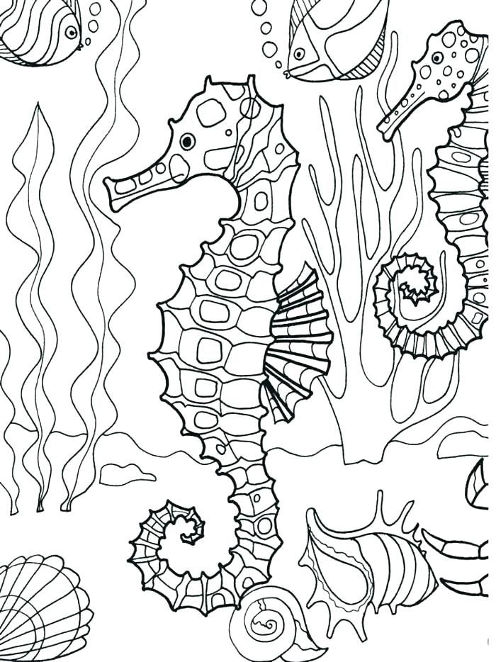 Coloring Page Ocean Underwater Pages Seahorse Adult Sea Creatures ...