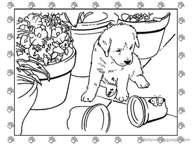 puppy coloring pages 02 Find creative coloring pages at ...