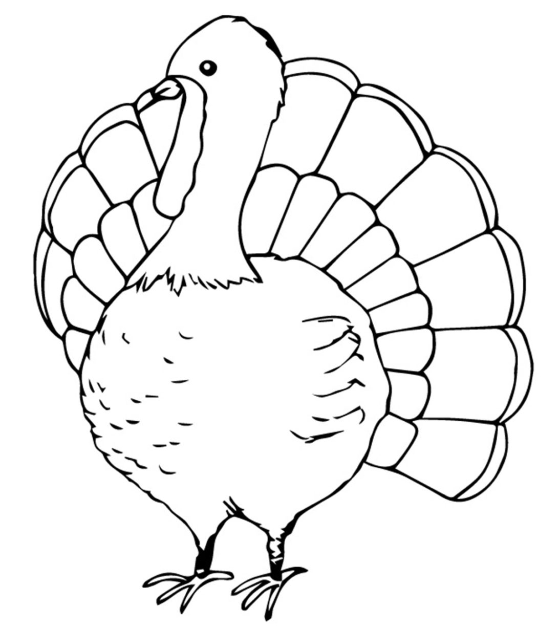 New Coloring Pages : Awesome Turkey For Kids Color Top ...