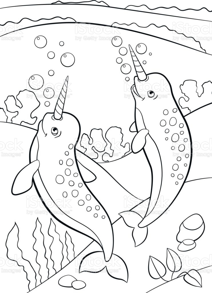 Coloring Pages Two Little Cute Narwhals Swim Underwater Stock ...