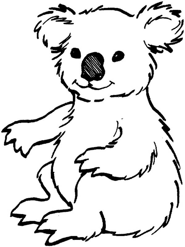 14 kids coloring pages koala - Print Color Craft | Print Color Craft