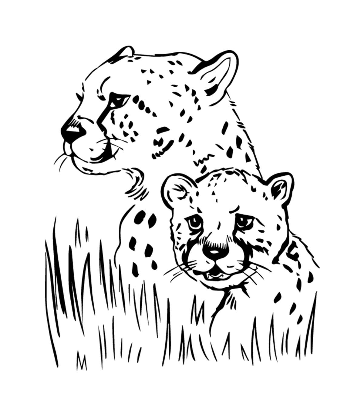 10 Best Free Printable Jaguar Coloring Pages Online