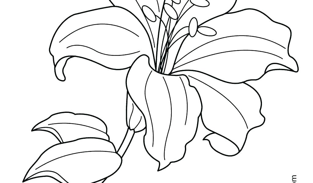 monet water lilies coloring pages – ofgodanddice.com