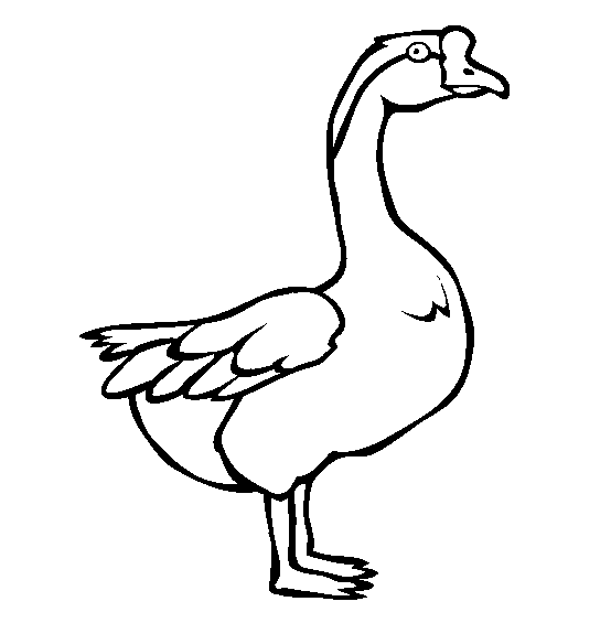 Goose coloring page - Animals Town - Animal color sheets Goose picture